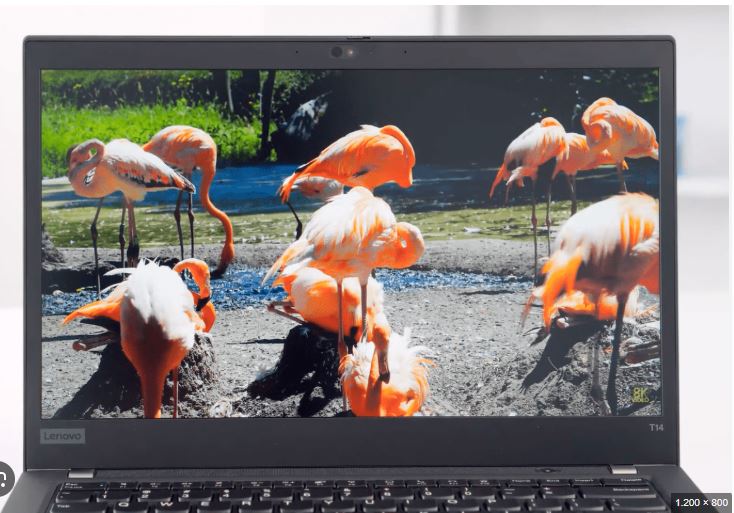 Laptop ThinkPad T14 Gen 2 – Mẫu Laptop Văn Phòng Bền Bỉ, Hiệu Năng Cao Được Tin Dùng